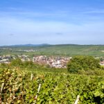 Panorama als voorbeeld voor de Elzas
